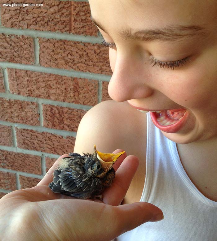 птенец орет