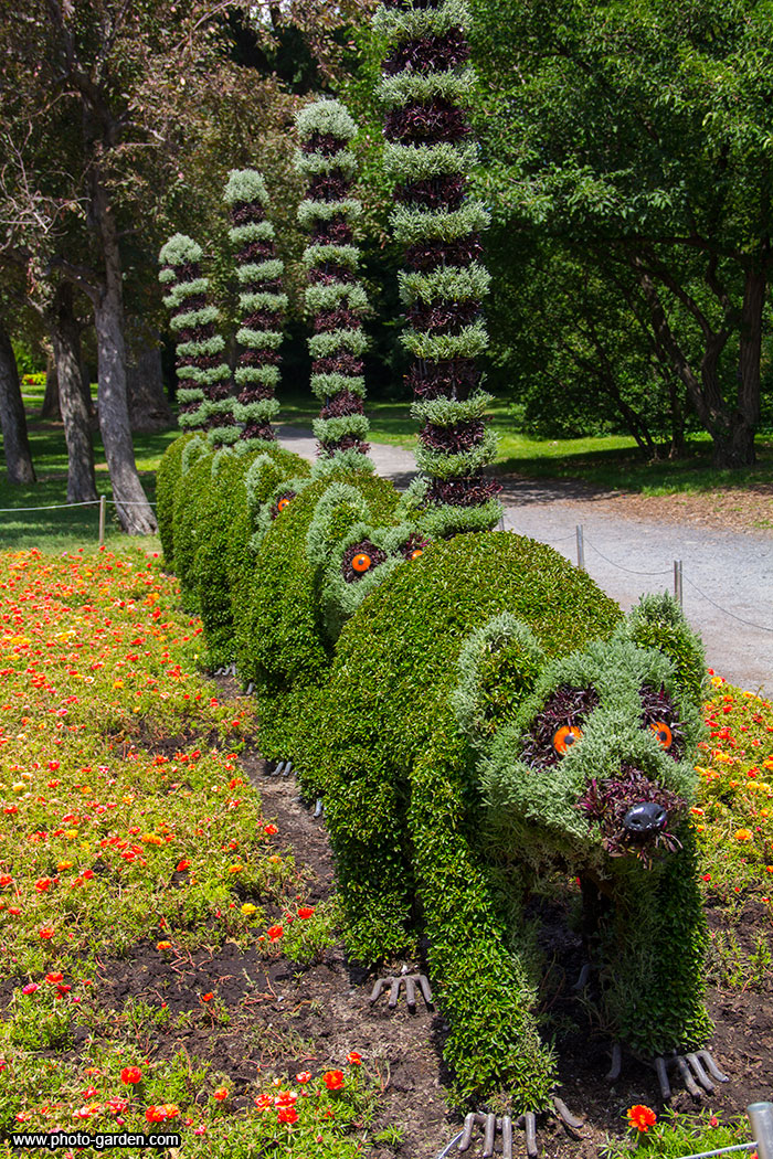 Лямуры из цветов