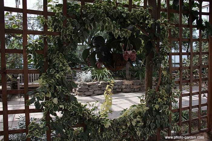 Затемненная фотография