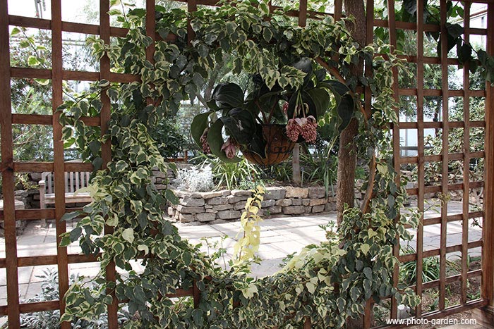 Проблема тени на фотографии