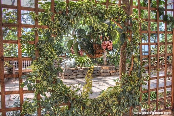 Результат HDR обработки фотографии