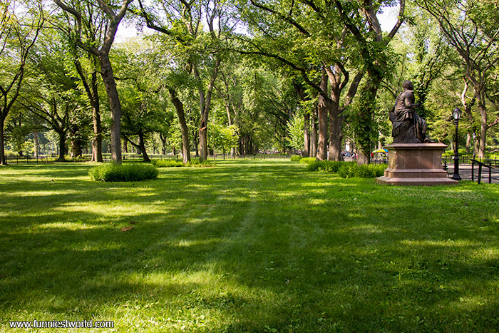 Центральный парк Нью Йорка